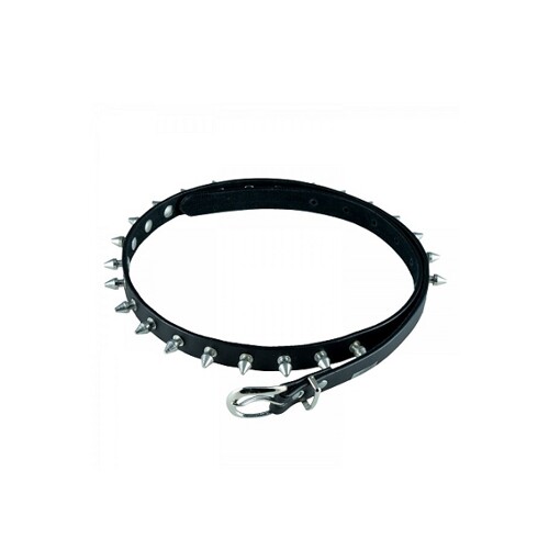 Leather belt with 1 row of rivets L. 95 cm