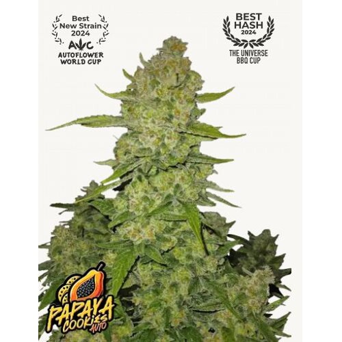 Fastbuds Papaya Cookies 10 pcs
