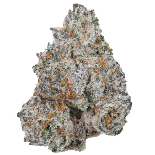 Growers Choice White Truffle 3 pcs