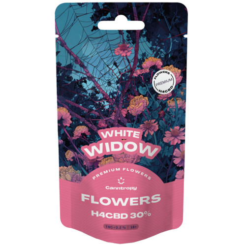 Canntropy H4CBD flower White Widow 30%, 3 grams