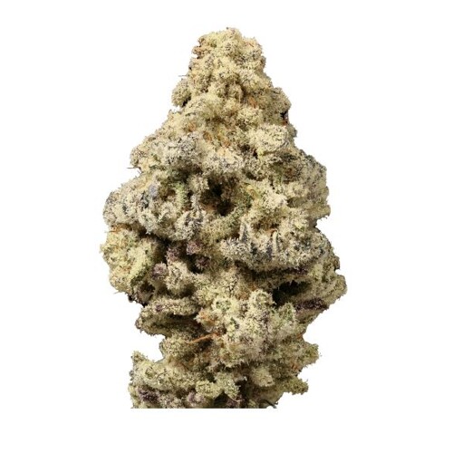 GrowersChoice Mac N Cheese 5 db