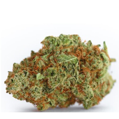 GrowersChoice Monster Bud 5 ks