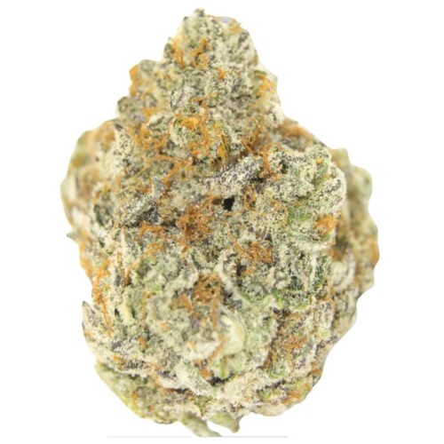 GrowersChoice Permanent Whitemarker 5 pcs