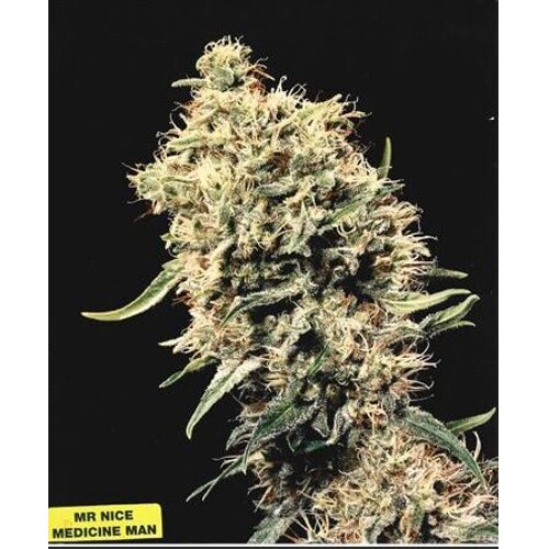 Mr Nice Medicine Man Regular 15 db