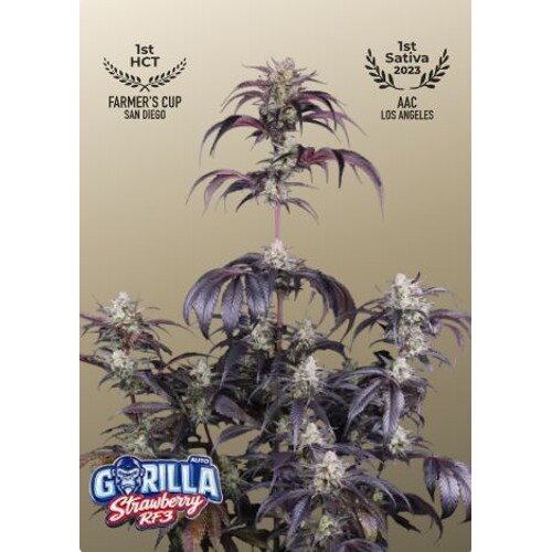 FastBuds Strawberry Gorilla Auto RF3 3 db