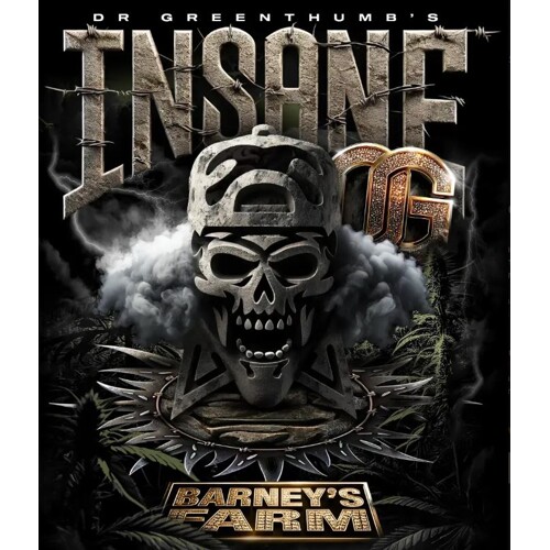 Barney's Farm Insane OG 5 pcs