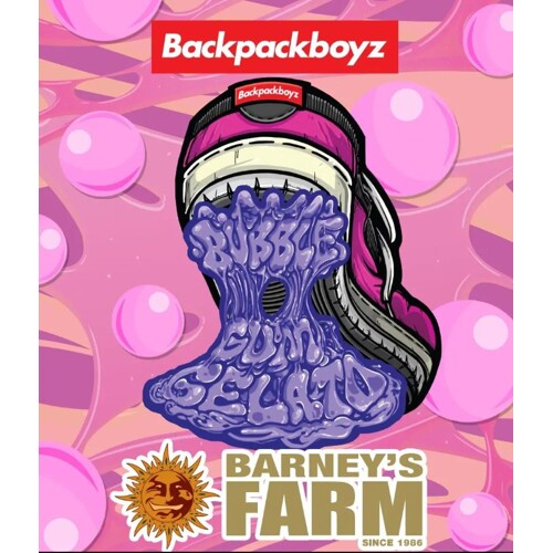 Barney's Farm Bubblegum Gelato 5 pcs