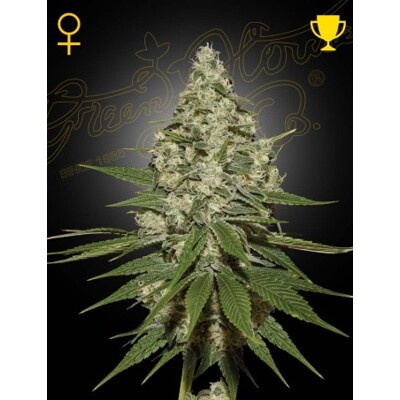 Green House Super Lemon Haze 10 db