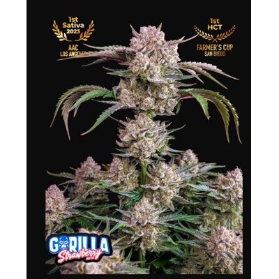 Fast Buds Strawberry Gorilla 13.-€-tól