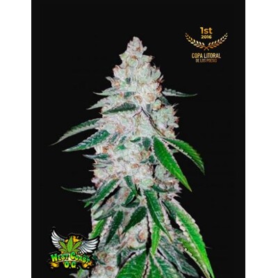Fast Buds West Coast O.G. 11.-€-tól