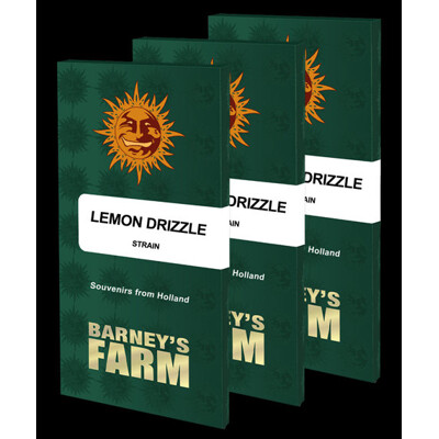 Barney's Farm Lemon Drizzle from 37.5.- €