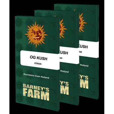 Barneys Farm OG Kush od 31,5€