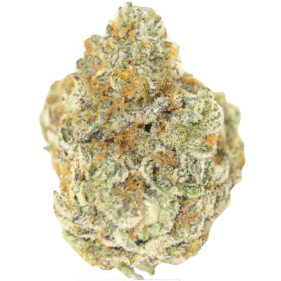 Growers Choice Permanent WhiteMarker 3 Seeds