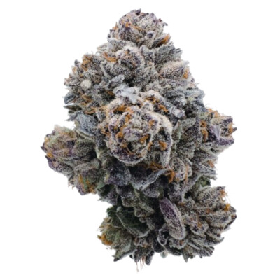 Growers Choice Pink GlitterBomb 3 pcs