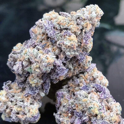Growers Choice Blue Zushi 3 pcs
