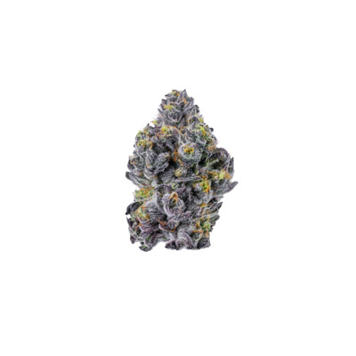 GrowersChoice Sticky Wasabi 3 pcs