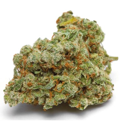 GrowersChoice Banana Sherbet XXL Auto 5 pcs