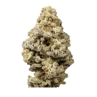 GrowersChoice Mac N Cheese 5 pcs