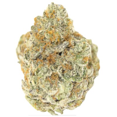 GrowersChoice Permanent Whitemarker 5 ks