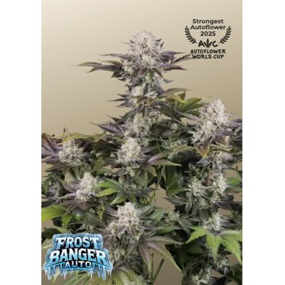 FastBuds Frostbanger Auto 10 pcs