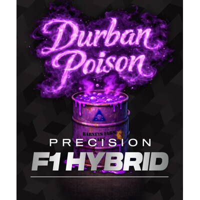 Barney's Farm Durban Poison 5 seeds