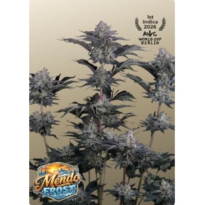 FastBuds Mendo Frost Auto 3 ks