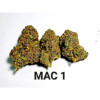 GrowersChoice Mac 1 Auto 5 pcs