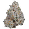 GrowersChoice White Truffle 5 db