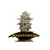 Seedstockers Sticky Fingers Autoflower