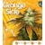 T.H. Seeds Orangesicle