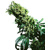 Sensi Seeds Northern Light x Haze 5 pcs