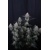 FastBuds Guava Sundae Auto 3 pcs